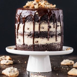 Here's 10 of the most amazing Dark Chocolate Cake Recipes you will ever try. From the cake layers, to the frosting. For a decadent and delicious dessert.